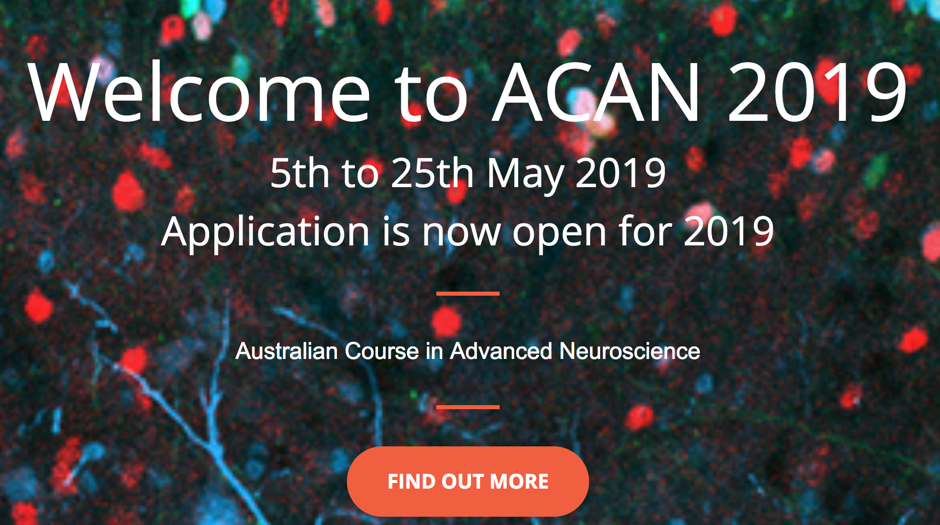 ACAN 2019