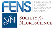 FENS SfN