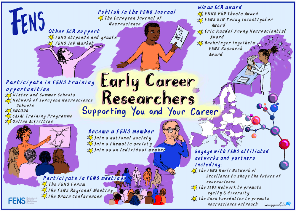 Early Career Researchers & FENS
