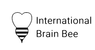 IBB logo