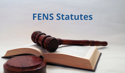 FENS Statutes