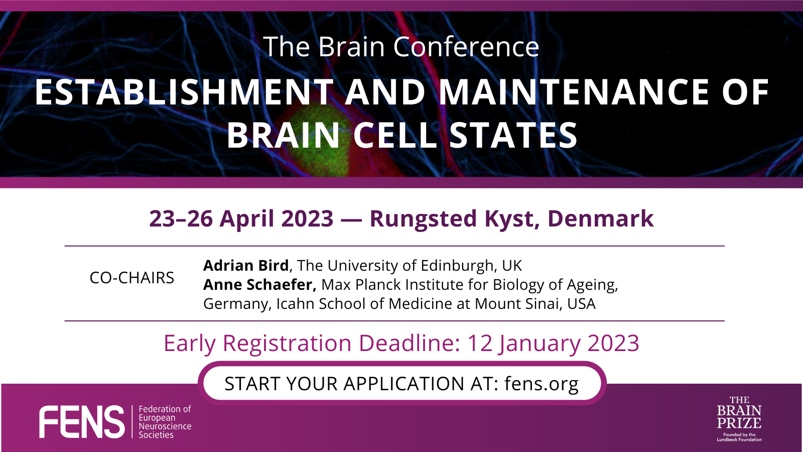The Brain Conferences are back in April 2023 Federation of European