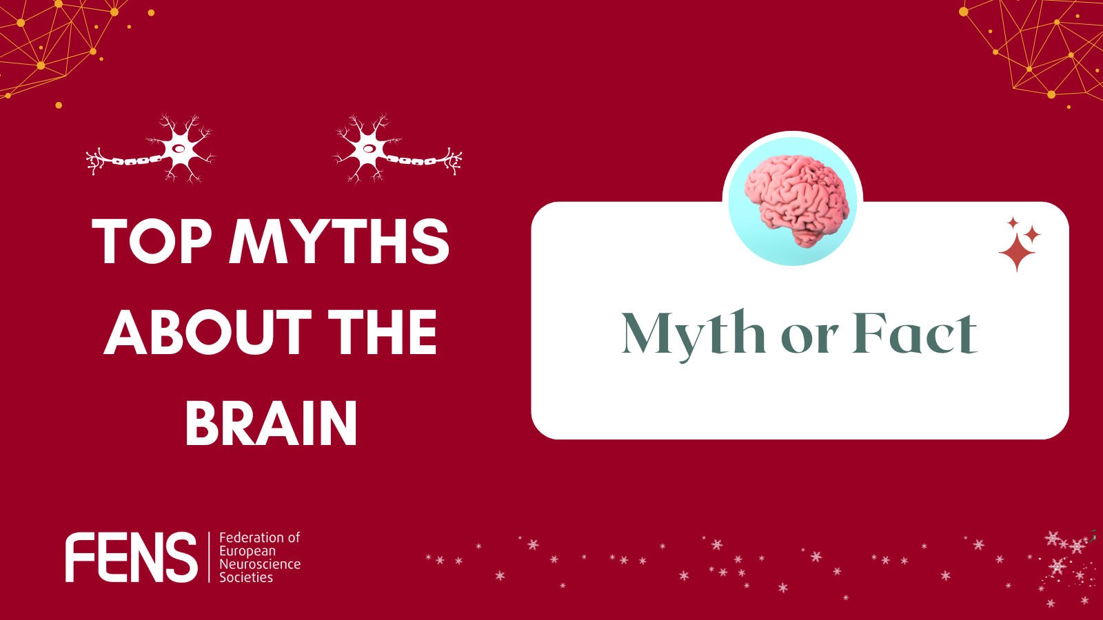 Lucy and the 10 Percent Brain Myth