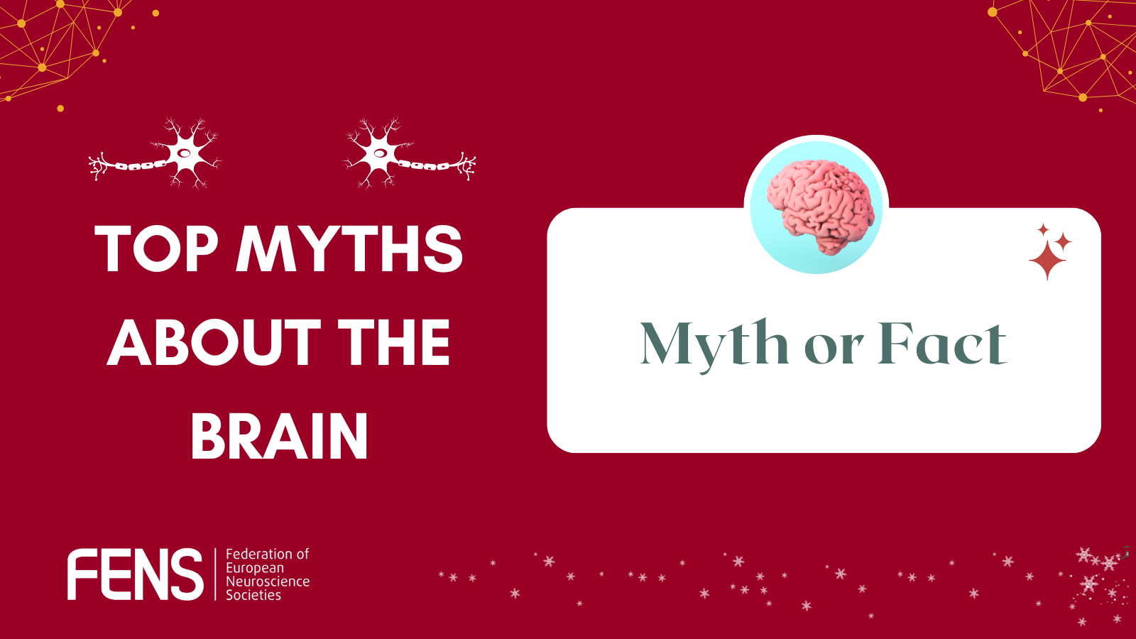 All You Need To Know About the 10 Percent Brain Myth, in 60