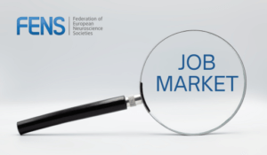 Job Market