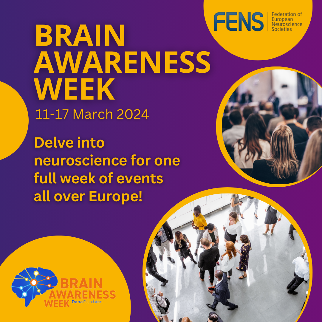 Brain Awareness Week on 1117 March 2024 with FENS! Federation of
